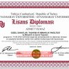 replika diploma